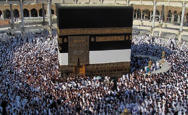 برنامج الاقتصادي تحسين 5 نجوم / طيران