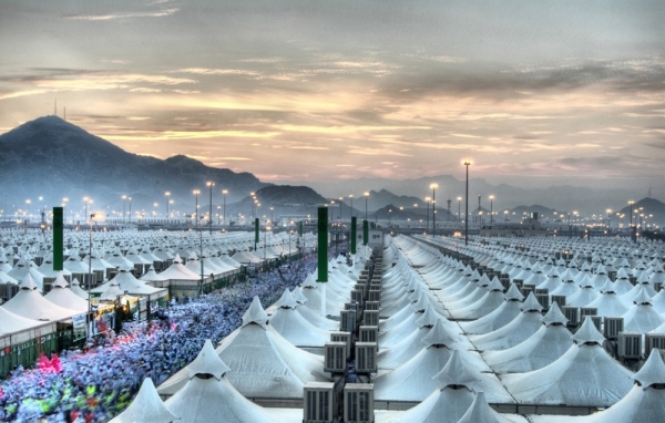 برنامج طيران 5 نجوم مميز / مني العادية